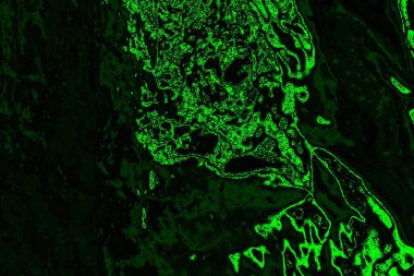 soyut Yeşil ve siyah doku ve arkaplan, boşluğu kopyala