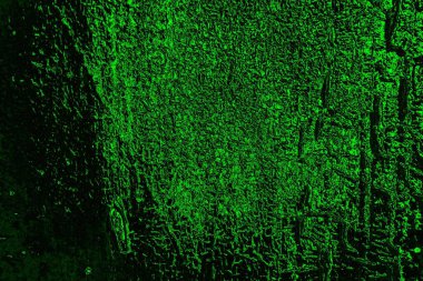 Yeşil ve siyah doku ve arkaplan, boşluğu kopyala