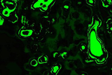 soyut Yeşil ve siyah doku ve arkaplan, boşluğu kopyala