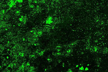 soyut siyah yeşil doku, arkaplan, duvar kağıdını kopyala