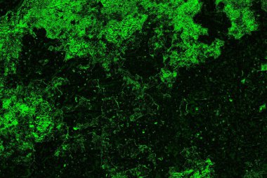 soyut siyah yeşil doku, arkaplan, duvar kağıdını kopyala