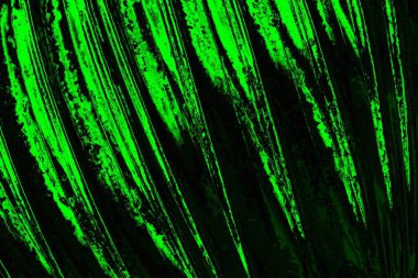 soyut siyah yeşil doku, arkaplan, duvar kağıdını kopyala