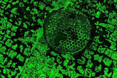 soyut siyah yeşil doku, arkaplan, duvar kağıdını kopyala