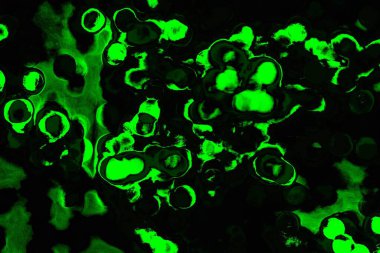 soyut siyah yeşil doku, arkaplan, duvar kağıdını kopyala