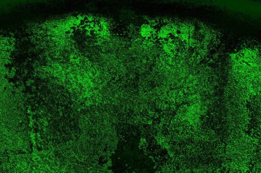 soyut yeşil doku, arkaplan, duvar kağıdını kopyala