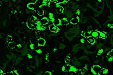 soyut Yeşil ve siyah doku ve arkaplan, boşluğu kopyala