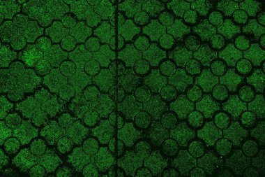 soyut yeşil doku, arkaplan, duvar kağıdını kopyala