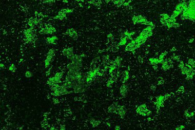 soyut siyah yeşil doku, arkaplan, duvar kağıdını kopyala
