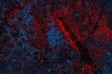 Dökülen boya paslı metal dokusu