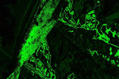 soyut Yeşil ve siyah doku ve arkaplan, boşluğu kopyala