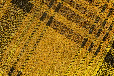 Kırmızı sarı ve siyah renkli kirli duvar, desenli arka plan.