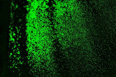 soyut Yeşil ve siyah doku ve arkaplan, boşluğu kopyala