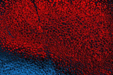 Polistiren köpük yakın plan. Bir sürü küçük ve büyük kabarcıklar stiroköpük doku arkaplanı.