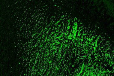 Yeşil ve siyah doku ve arkaplan, boşluğu kopyala