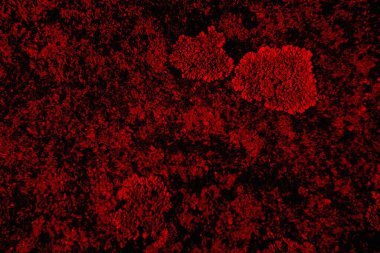 soyut siyah kırmızı doku, arkaplan, boşluk duvar kağıdını kopyala