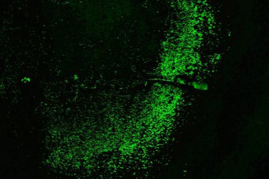 soyut siyah yeşil doku, arkaplan, duvar kağıdını kopyala