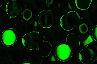 soyut siyah yeşil doku, arkaplan, duvar kağıdını kopyala