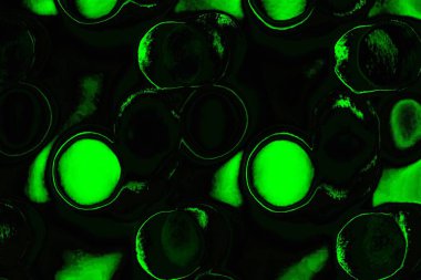 soyut siyah yeşil doku, arkaplan, duvar kağıdını kopyala