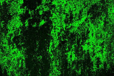 soyut yeşil doku, arkaplan, duvar kağıdını kopyala