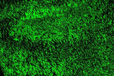 soyut siyah yeşil doku, arkaplan, duvar kağıdını kopyala