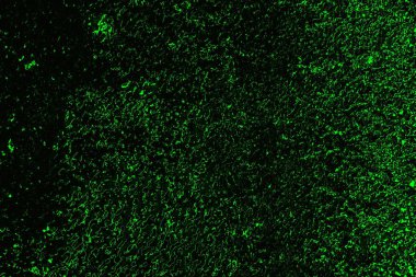 soyut siyah yeşil doku, arkaplan, duvar kağıdını kopyala