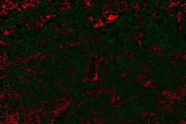 soyut siyah yeşil doku, arkaplan, duvar kağıdını kopyala