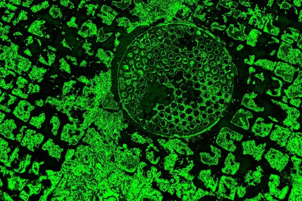 Abstrakcyjny Czarny Zielony Tekstura Tło Kopiowanie Tapety — Zdjęcie stockowe