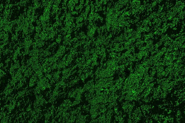 Yeşil ve siyah doku ve arkaplan, boşluğu kopyala