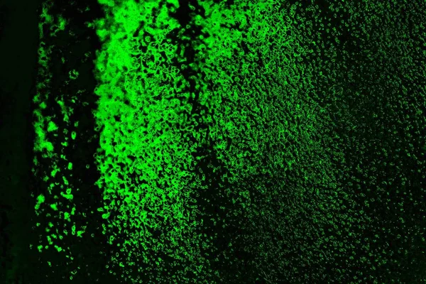 soyut Yeşil ve siyah doku ve arkaplan, boşluğu kopyala