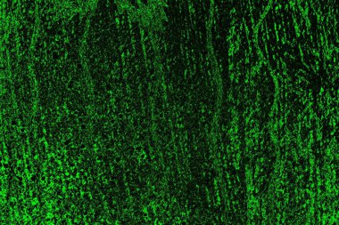 soyut yeşil ve siyah doku ve arkaplan, uzay duvar kağıdını kopyala