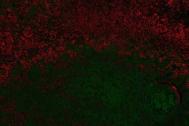 Dökülen boya paslı metal dokusu