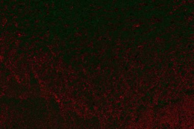 soyut siyah yeşil doku, arkaplan, duvar kağıdını kopyala