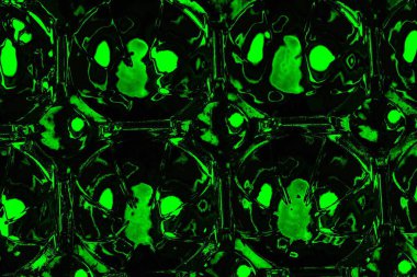 soyut siyah yeşil doku, arkaplan, duvar kağıdını kopyala