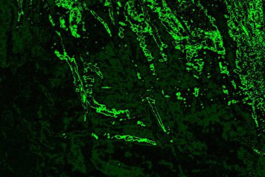 soyut Yeşil ve siyah doku ve arkaplan, boşluğu kopyala