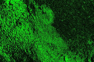 soyut siyah yeşil doku, arkaplan, duvar kağıdını kopyala