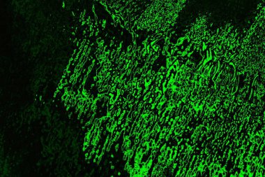 soyut siyah yeşil doku, arkaplan, duvar kağıdını kopyala