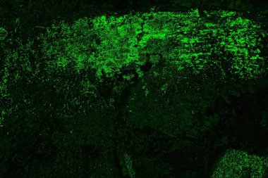 soyut Yeşil ve siyah doku ve arkaplan, boşluğu kopyala