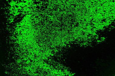 soyut yeşil doku, arkaplan, duvar kağıdını kopyala