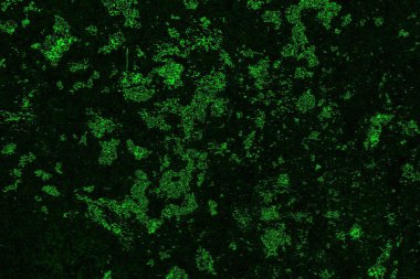 soyut yeşil ve siyah doku ve arkaplan, uzay duvar kağıdını kopyala