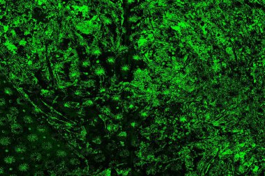 soyut yeşil ve siyah doku ve arkaplan, uzay duvar kağıdını kopyala