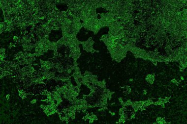 soyut siyah yeşil doku, arkaplan, duvar kağıdını kopyala