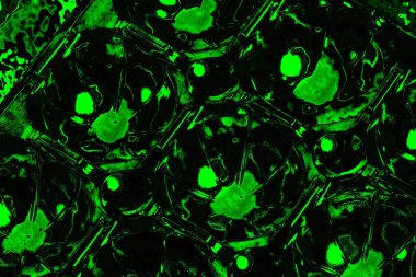 soyut siyah yeşil doku, arkaplan, duvar kağıdını kopyala