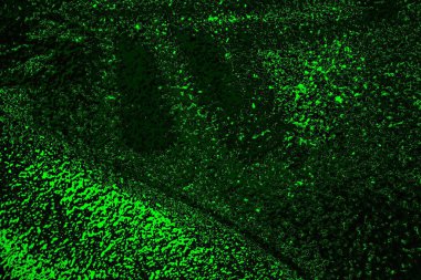 soyut siyah yeşil doku, arkaplan, duvar kağıdını kopyala