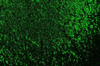 Yeşil ve siyah doku ve arkaplan, boşluğu kopyala