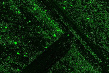 soyut siyah yeşil doku, arkaplan, duvar kağıdını kopyala