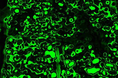 soyut siyah yeşil doku, arkaplan, duvar kağıdını kopyala