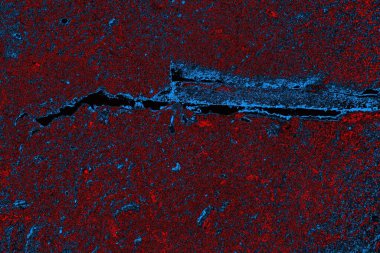 soyut mavi desen, arkaplan, duvar kağıdını kopyala