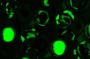 Yeşil ve siyah doku ve arkaplan, boşluğu kopyala