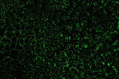 soyut siyah yeşil doku, arkaplan, duvar kağıdını kopyala