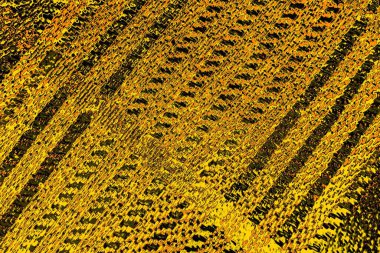 Kırmızı sarı ve siyah renkli kirli duvar, desenli arka plan.